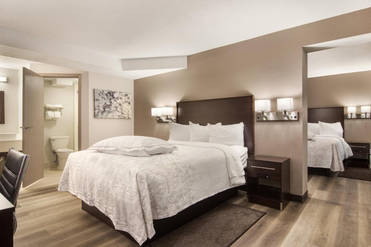 Premium Suite with Multiple Beds with Kitchenette Smoke Free (Upgraded Bedding and Snack Box)